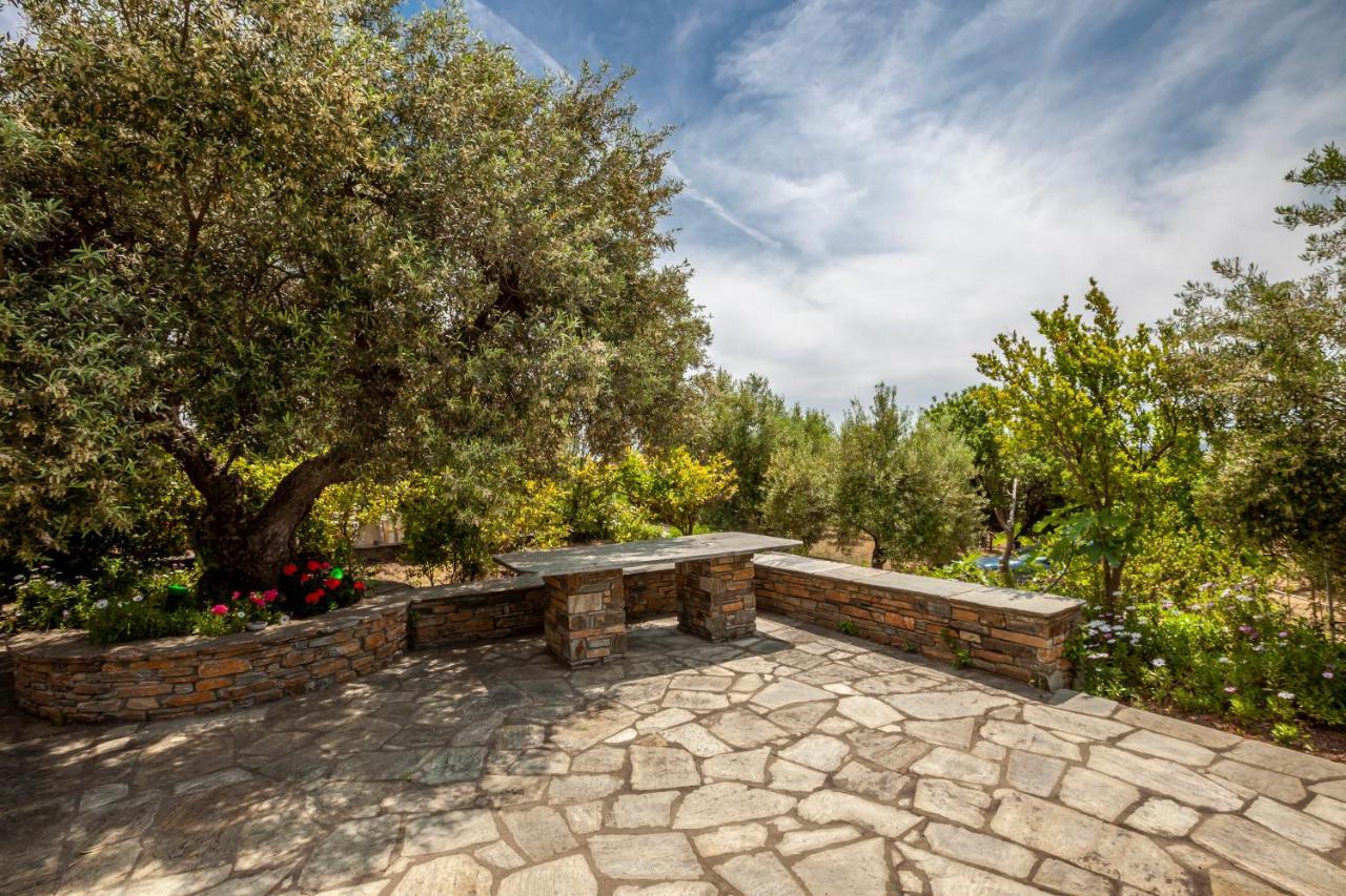 הוילה Metochi Agias Kiriakis Hidden Gem Sithonia מראה חיצוני תמונה