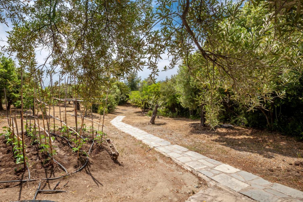 הוילה Metochi Agias Kiriakis Hidden Gem Sithonia מראה חיצוני תמונה